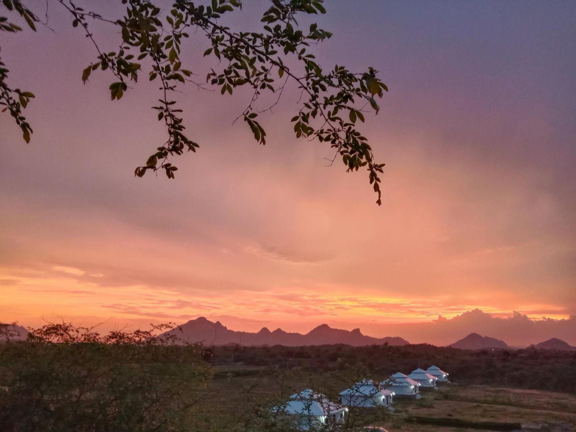 The Bagheera Bagh Jawai 호텔 Bera 외부 사진