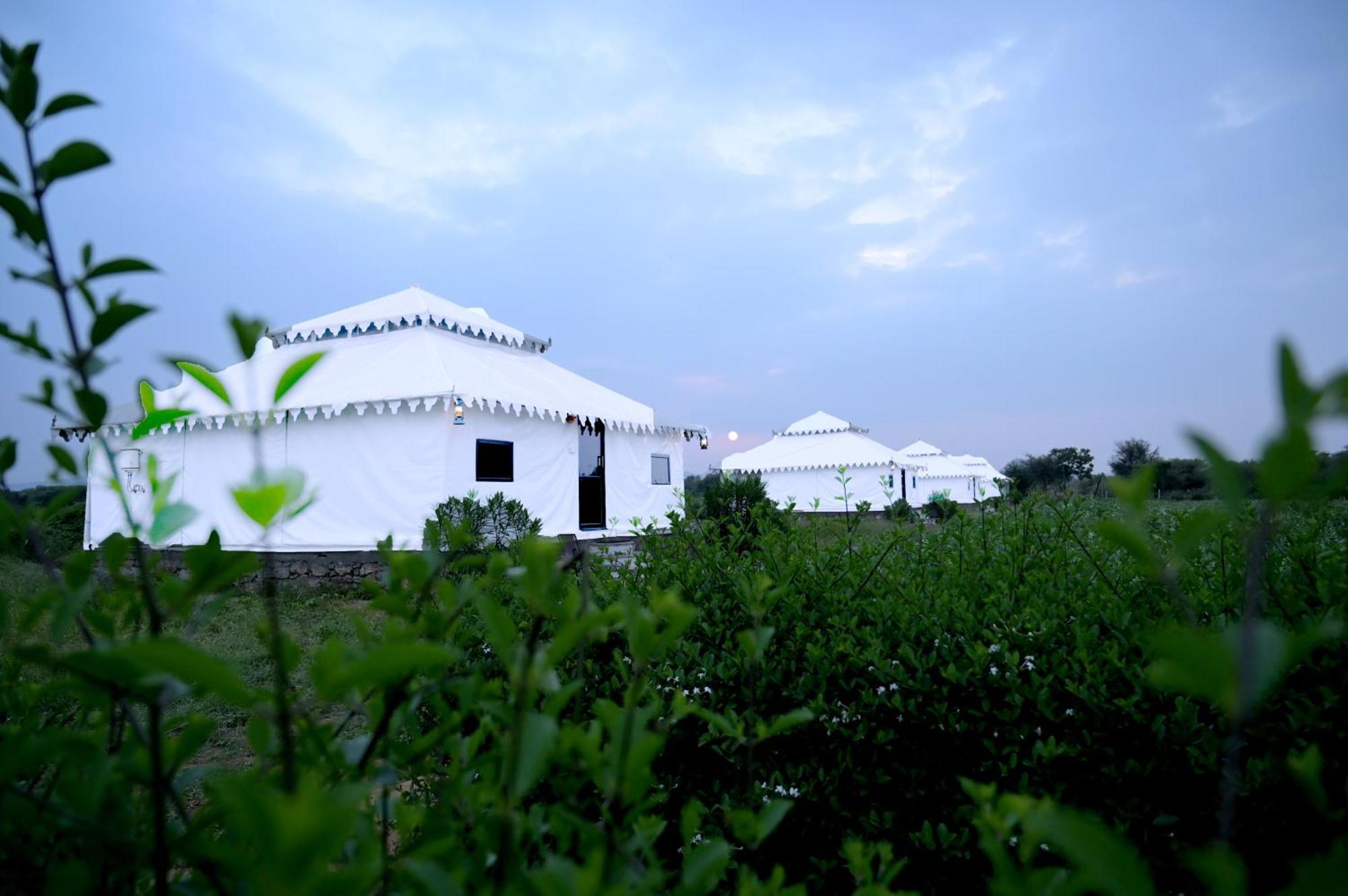 The Bagheera Bagh Jawai 호텔 Bera 외부 사진